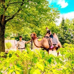 Meet your Posher, Danny